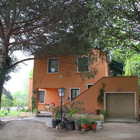 Kallista 2 *